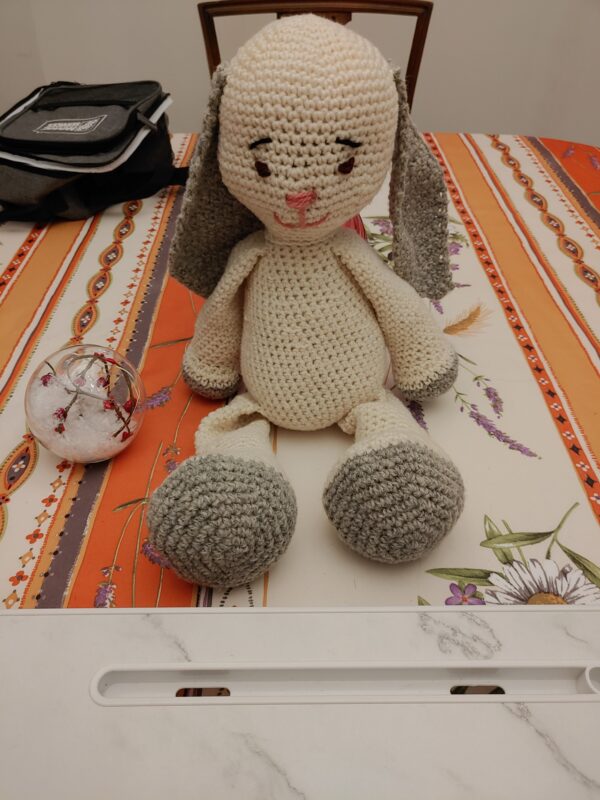 Rabbit